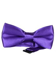 MUCHA MUSZKA GŁADKA FIOLETOWA