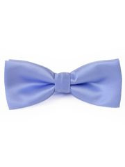 MUCHA MUSZKA GŁADKA WRZOSOWA