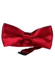 MUCHA MUSZKA GŁADKA BORDOWA