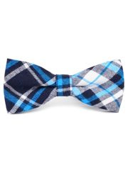 MUCHA MUSZKA TURKUSOWA KRATKA