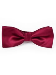 MUCHA MUSZKA GŁADKA ŚLIWKOWA