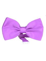 MUCHA MUSZKA RÓŻOWA