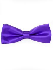 MUCHA MUSZKA GŁADKA FIOLETOWA