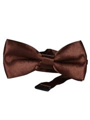 MUCHA MUSZKA GŁADKA BRĄZOWA