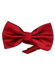 MUCHA MUSZKA BORDOWA