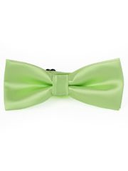 MUCHA MUSZKA GŁADKA SELEDYNOWA