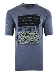 KOSZULKA T-SHIRT YOUNG GRAFITOWA DUŻA
