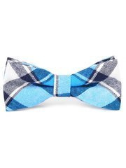 MUCHA MUSZKA TURKUSOWA KRATKA