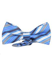 MUCHA MUSZKA NIEBIESKA PASKI